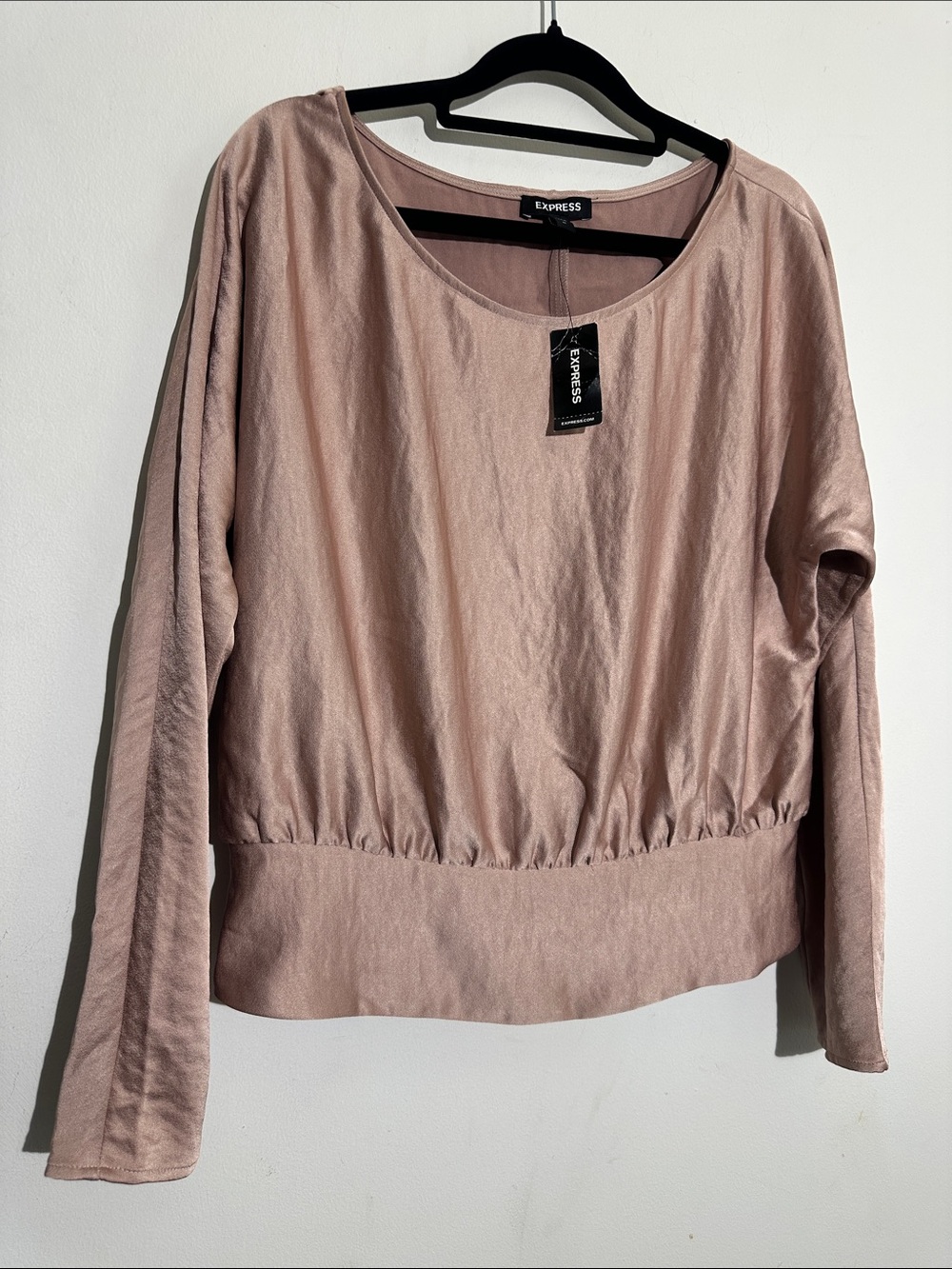 Express Light Mauve Blouson Long Sleeve Top